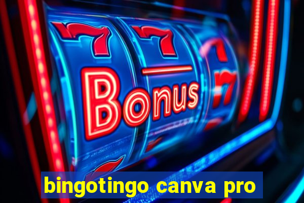 bingotingo canva pro